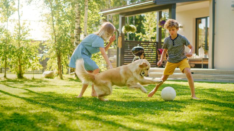 Child and dog playing in a grassy mountain yard