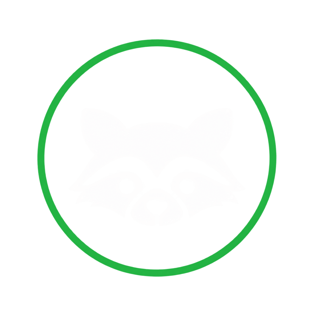 Raccoon icon