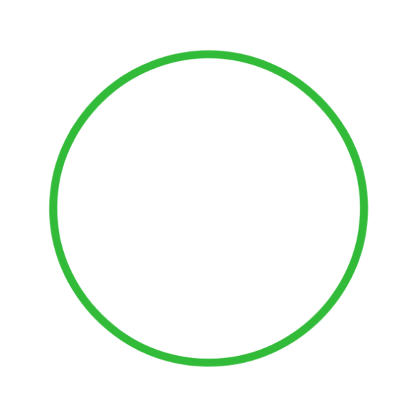 Carpenter bee icon
