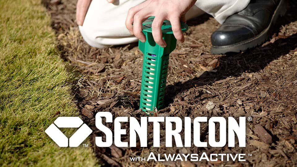 Technician installing a Sentricon termite bait station