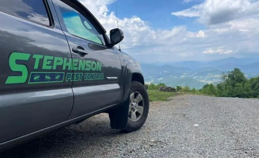 Stephenson Pest Control truck on a mountain road